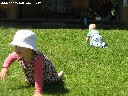 Vejos įrengimas, apželdinimas, laistimo sistemų įrengimas