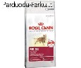 AKCIJA Royal Canin kačių maistui