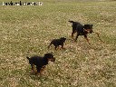 JAGDTERJERAI