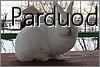 parduodu triusi