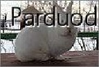 parduodu triusi