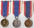 Lenkijos LR medalis