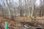 2,02 ha žemės sklypas Maišiagaloje, Vilniaus raj