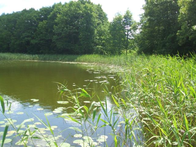 Parduodu žemės sklypą prie ežero