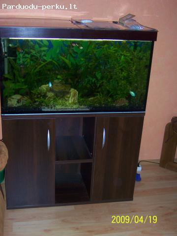 Akvariumai!Pigiau