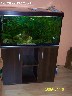 Akvariumai!Pigiau