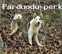 Padovanoti