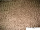 AB"Vilniaus kailiai" išparduoda avies odą, skirtą drabužių g