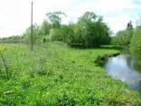 4,8 ha žemės sklypas Darkuškių k., Širvintų raj.