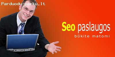 Profesionalios Seo paslaugos