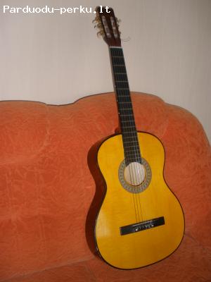 klasikinė gitara