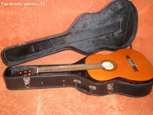 klasikinė gitara