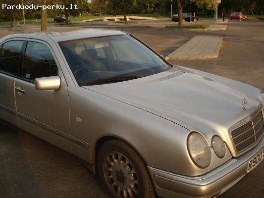 devetos autodetales