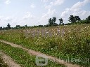 Parduodamas 56 arų žemės sklypas Lentvario k., Trakų raj. Sklypas