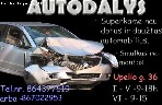 devetos autodalys