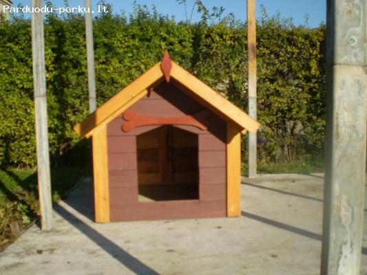 Nebrangiai statau suns budas