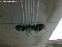 elektros darbai