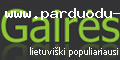 gaires.lt - populiariausi lietuviški tinklalapiai