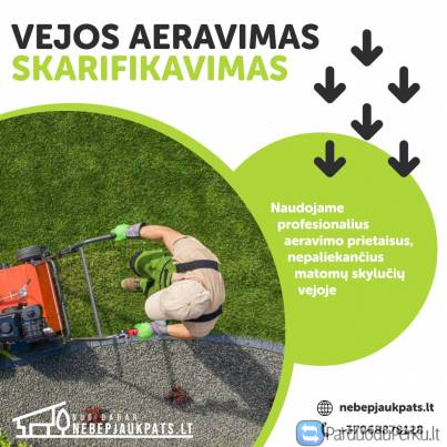 Aeravimas / Skarifikavimas 20€/aras