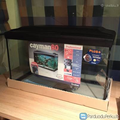 Akvariumas Cayman 80 su įranga