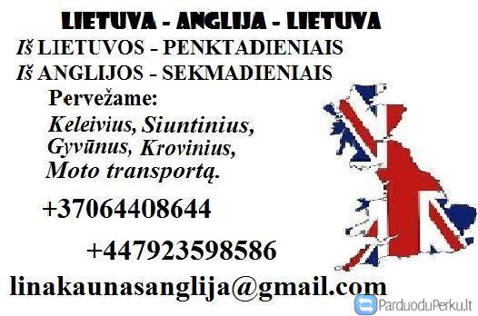 Anglija - Lietuva