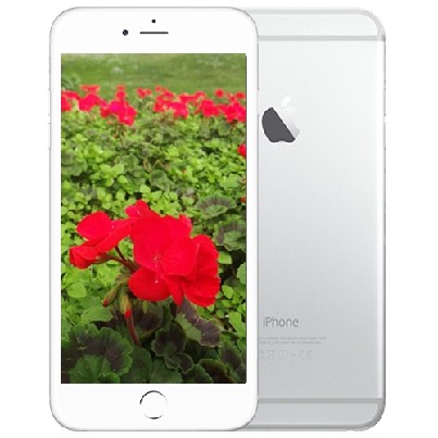 Apple Phone iPhone 6 16GB