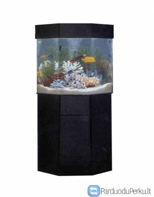 Apvalus akvariumas unikalaus kupolo, JAV, naujas