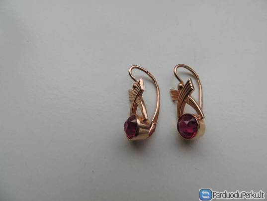 Auksiniai auskarai su rubinais