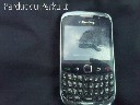 Blackberry Curve