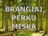 Brangiai perku miska visoje Lietuvoje