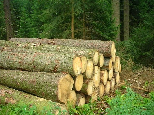 Brangiai superkame apvaliaja mediena!!!!