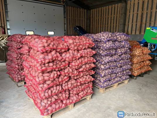 Bulvės. "Agila" "Laura" (+ Pristatymas)