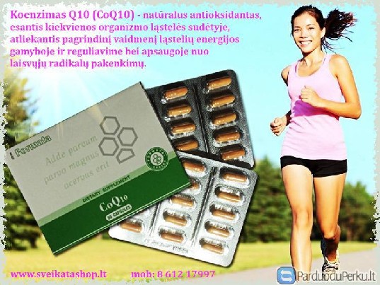 CoQ10, Koenzimas 30 kaps – natūralus antioksidantas SANTEGRA