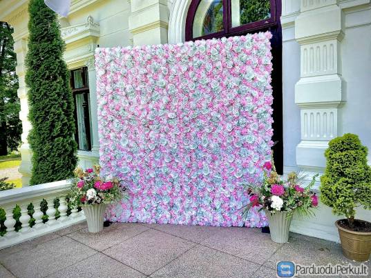 Foto sienelės nuoma