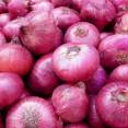 Fresh Onions available for sale