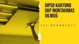 Gipso kartono GKP montavimas Vilnius