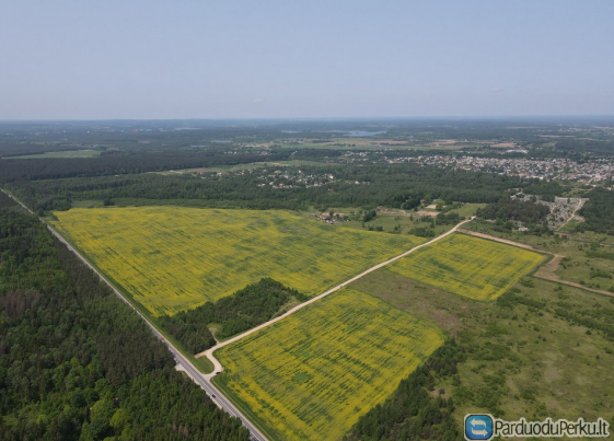 Išnuomojamas 50 HA žemes sklypas RAČKŪNŲ K., VILNIAUS M.