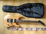 Jackson Dinky dm2 PRO, OFR, Japan
