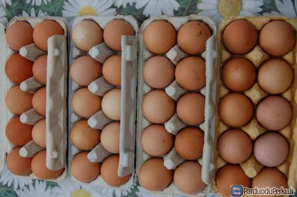 Kaimiški kiaušiniai