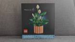 Lego 11504 Botanicals - Peace Lily (Vėzdūnė)