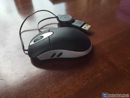 Maža kompiuterinė pelė pelytė