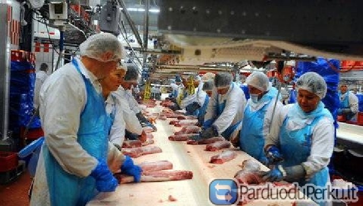 Mėsos pakavimo fabrikas Vokietijoje ieško darbuotojų
