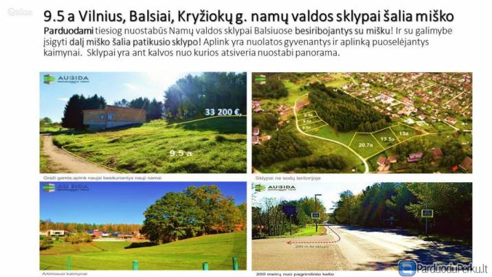 NAMŲ VALDOS SKLYPAI ŠALIA MIŠKO, Balsiai