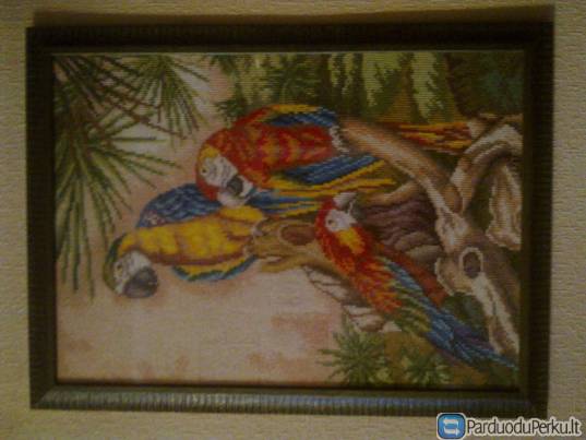 Naujas autorinis  siuvinėtas paveikslas "Papugos"