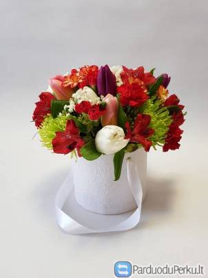Nemokamas Gėlių pristatymas Klaipėdoje, ,Šiauliuose, Panevėž