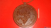 Odinis medalis