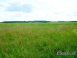 Parduodamas 1,12 ha žemės sklypas Margių vs.