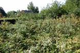 Parduodamas 6 arų žemės sklypas Akmeniškėse, Marijampolio sen., Vilniaus raj.; SB ,,Smilga".