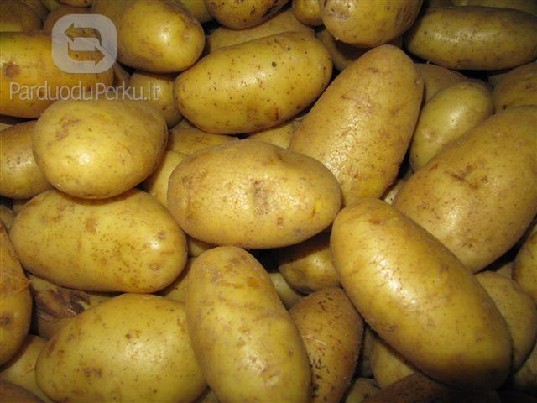 Parduodu bulves: sėklinės elitinės Arielle