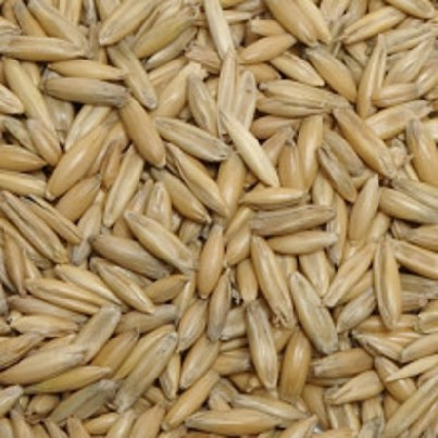 Parduodu Ekologines Avizas (siu metu)